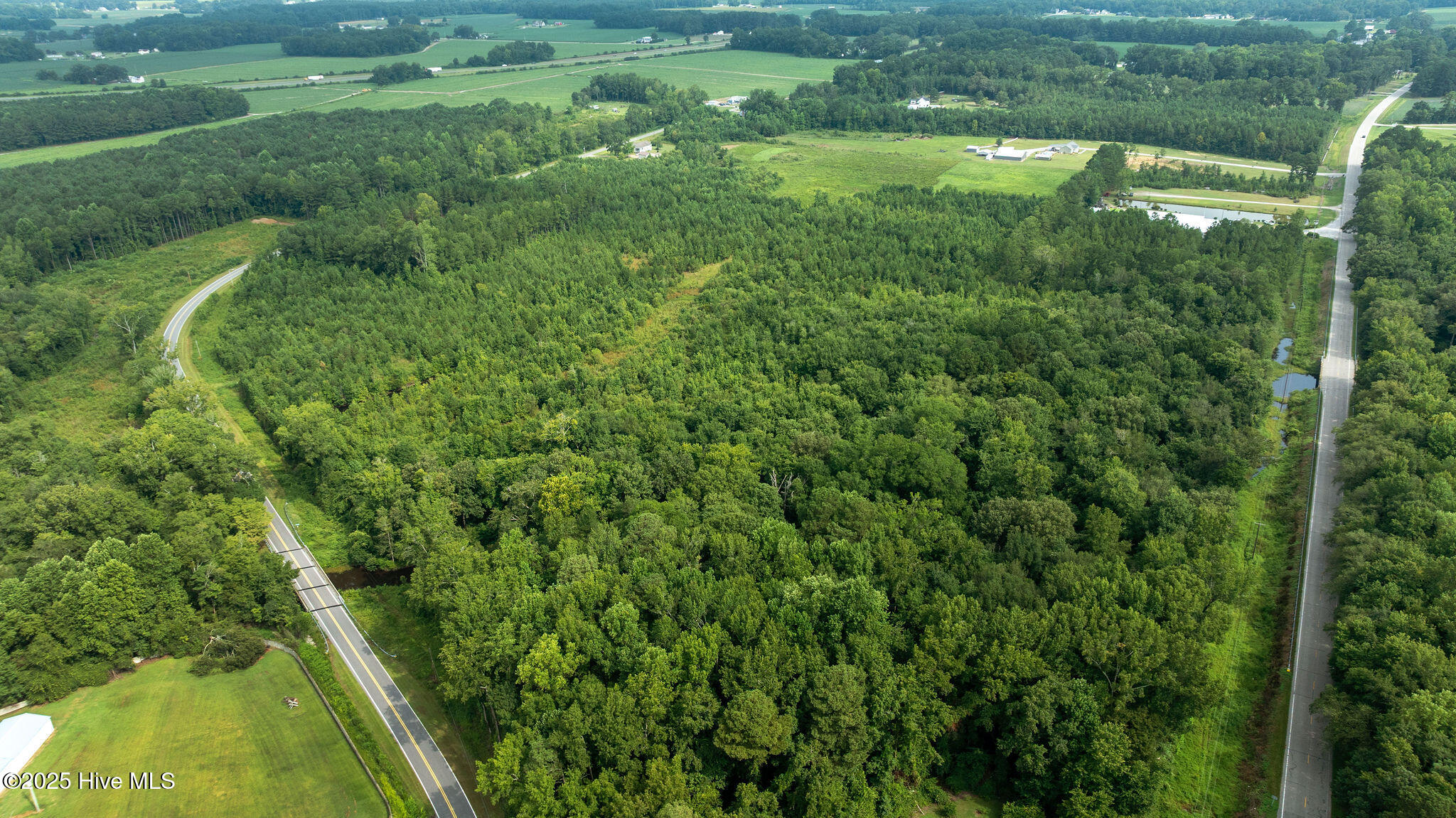 0 Great Swamp Loop Lucama, NC 27851 - Photo 7 of 15 DJI_0371