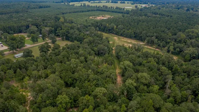 an aerial view of residential houses with outdoor space and trees