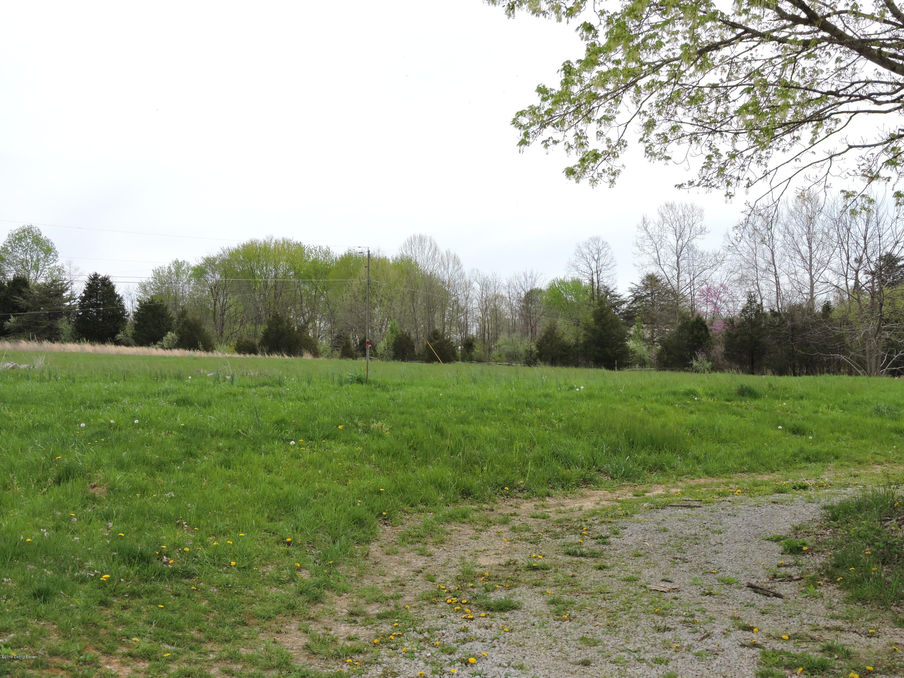 781 Ridgeview Drive Shepherdsville, KY 40165 - Photo 13 of 50 DSCN5686