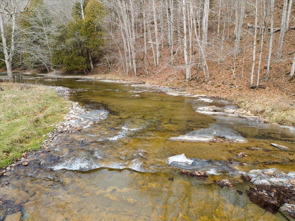 1421 Sunset River Road Ceres, VA 24318 - Photo 10 of 56 Gallery Image 10