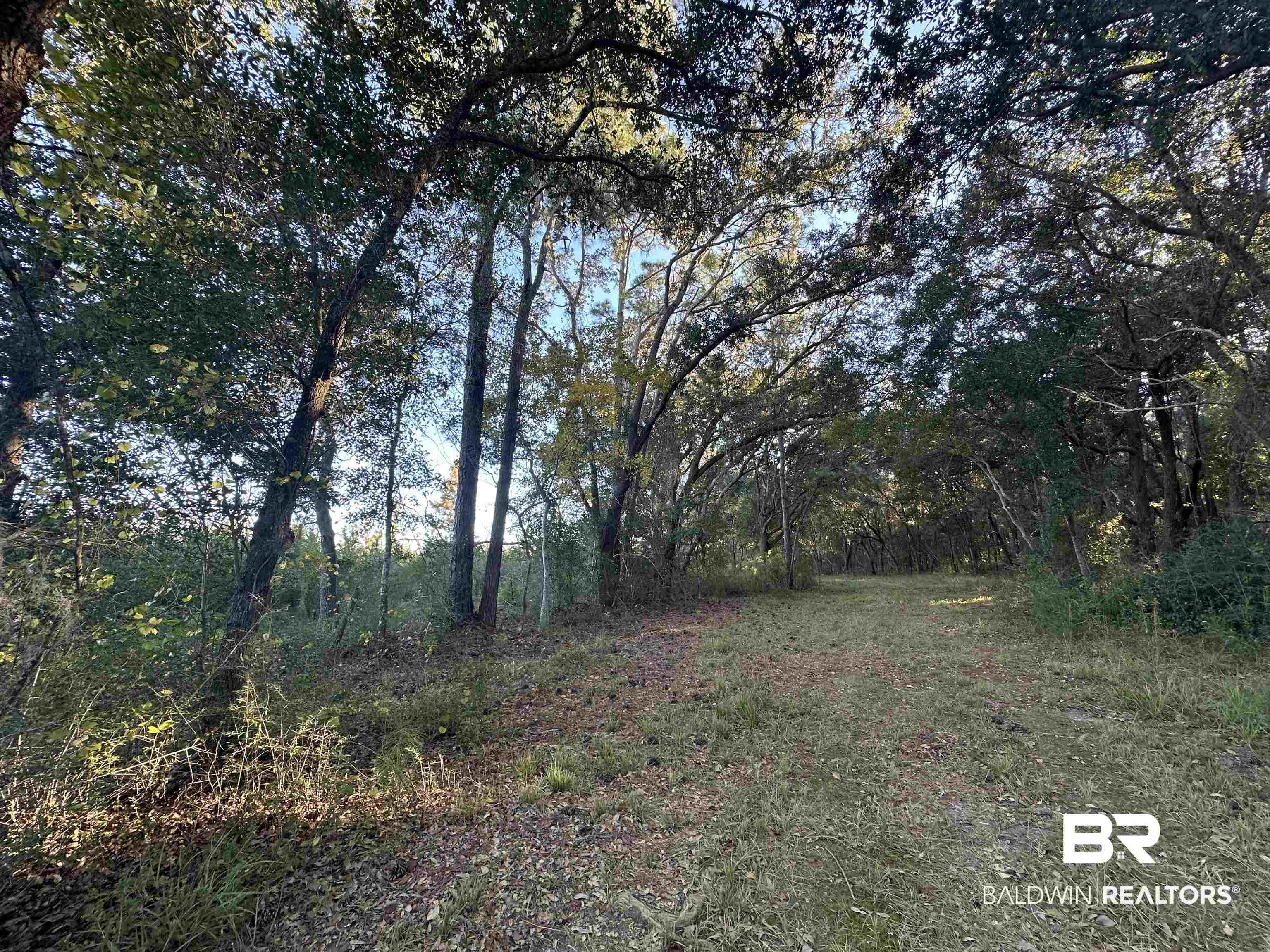 0 Benton Road Foley, AL 36535 - Photo 1 of 7