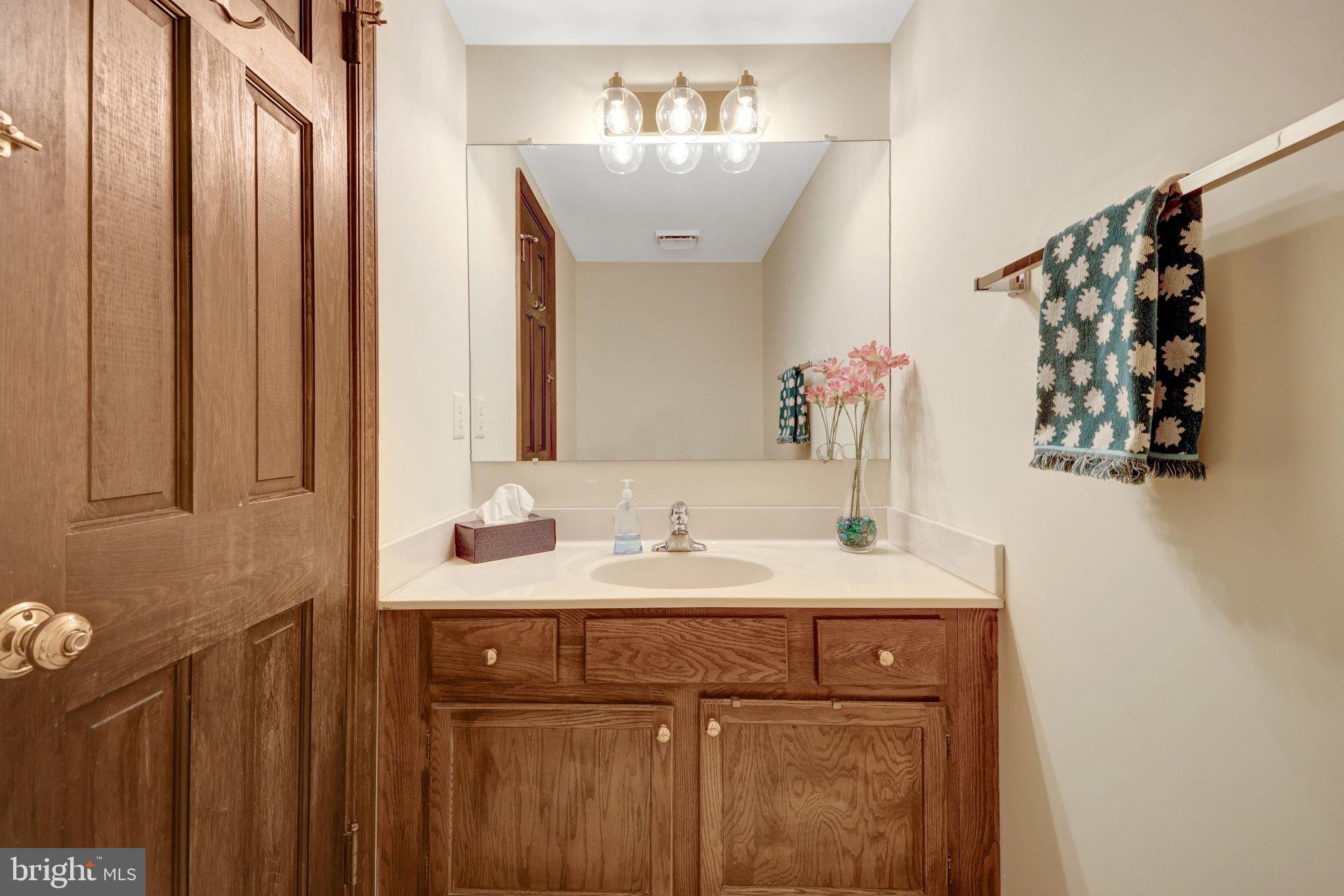 1398 Park Lake Drive Reston, VA 20190 - Photo 27 of 64 a bathroom with a sink and a mirror