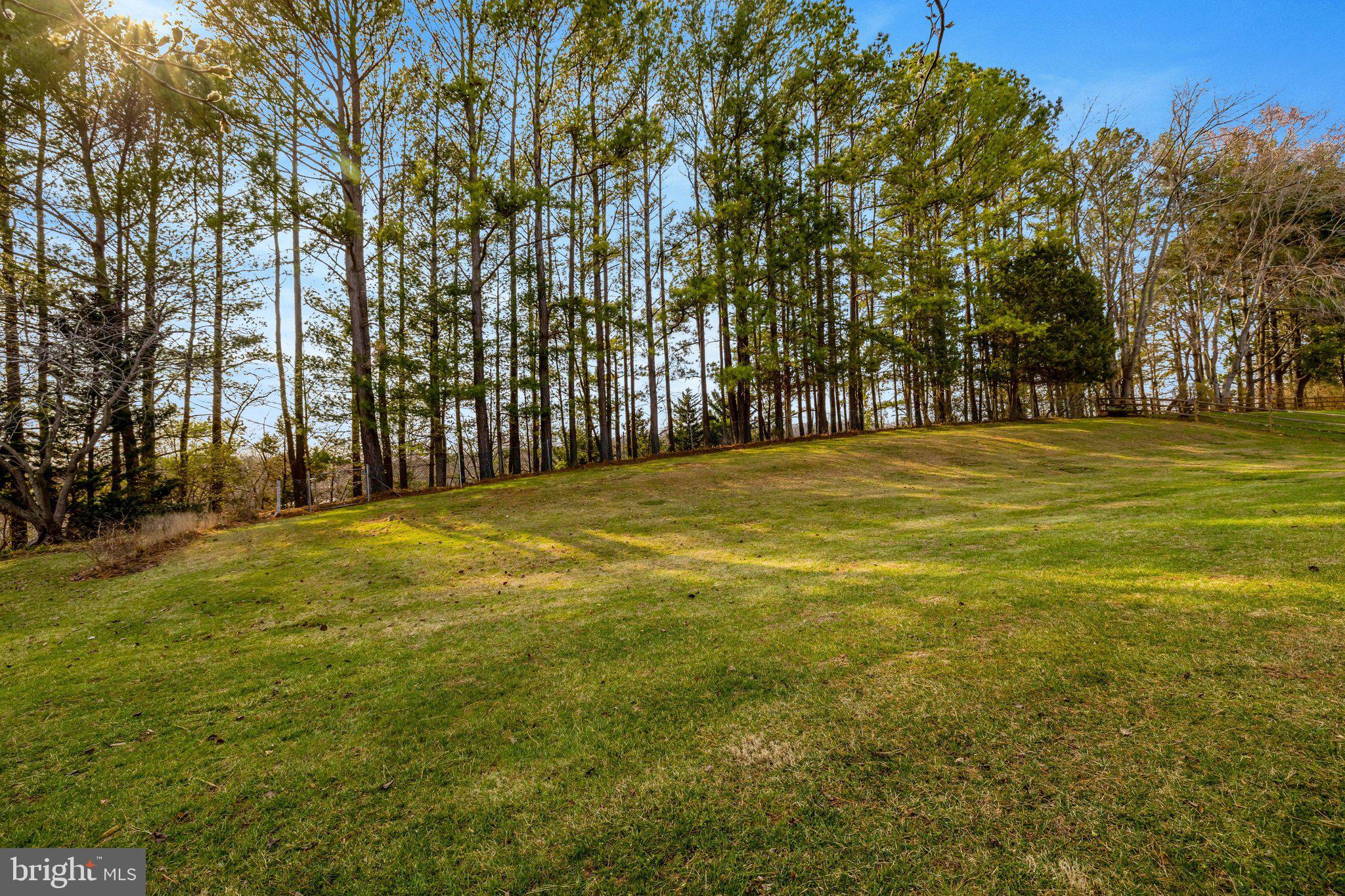 1398 Park Lake Drive Reston, VA 20190 - Photo 56 of 64 a view of a field with trees in front of it