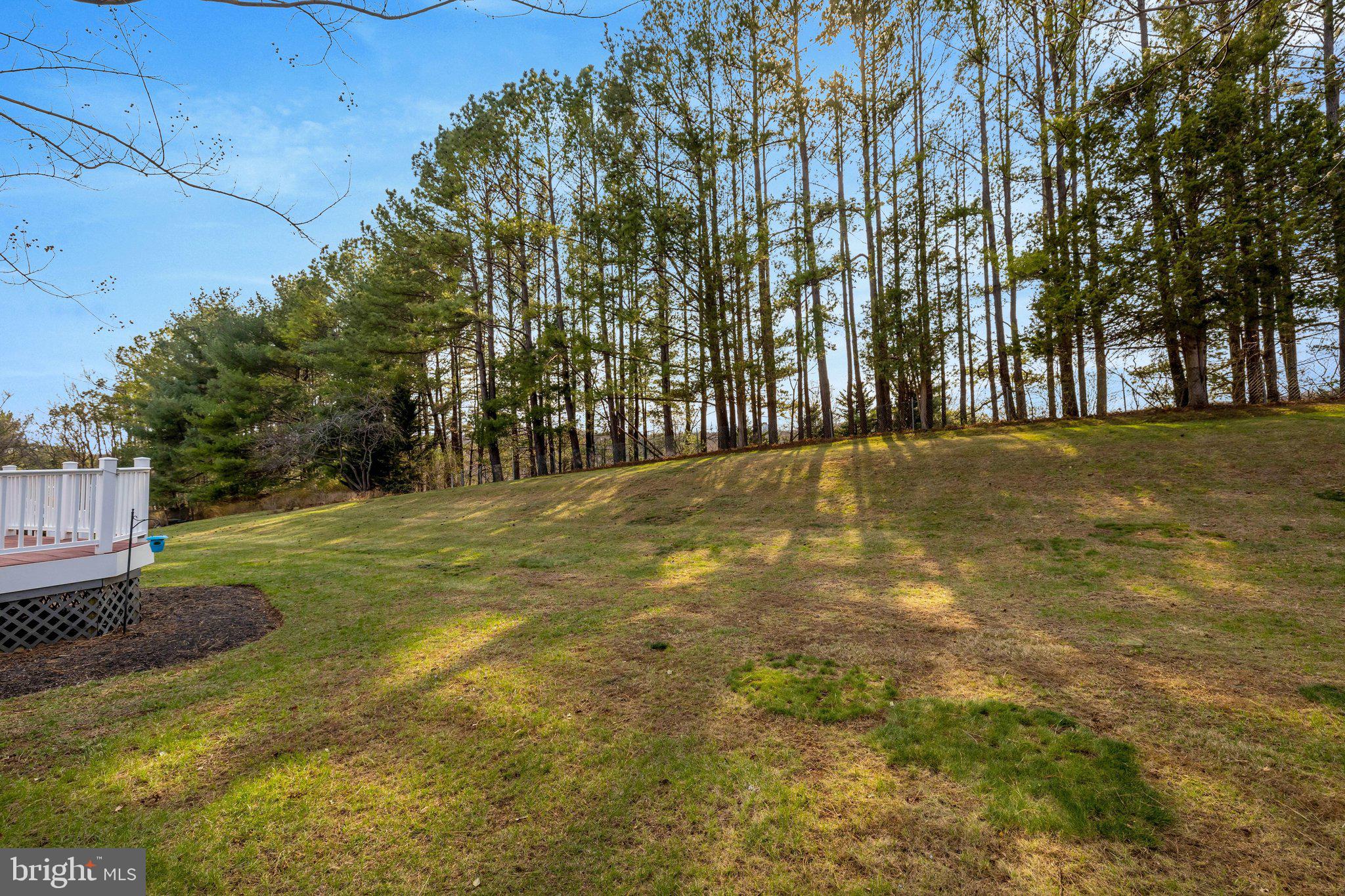 1398 Park Lake Drive Reston, VA 20190 - Photo 57 of 64