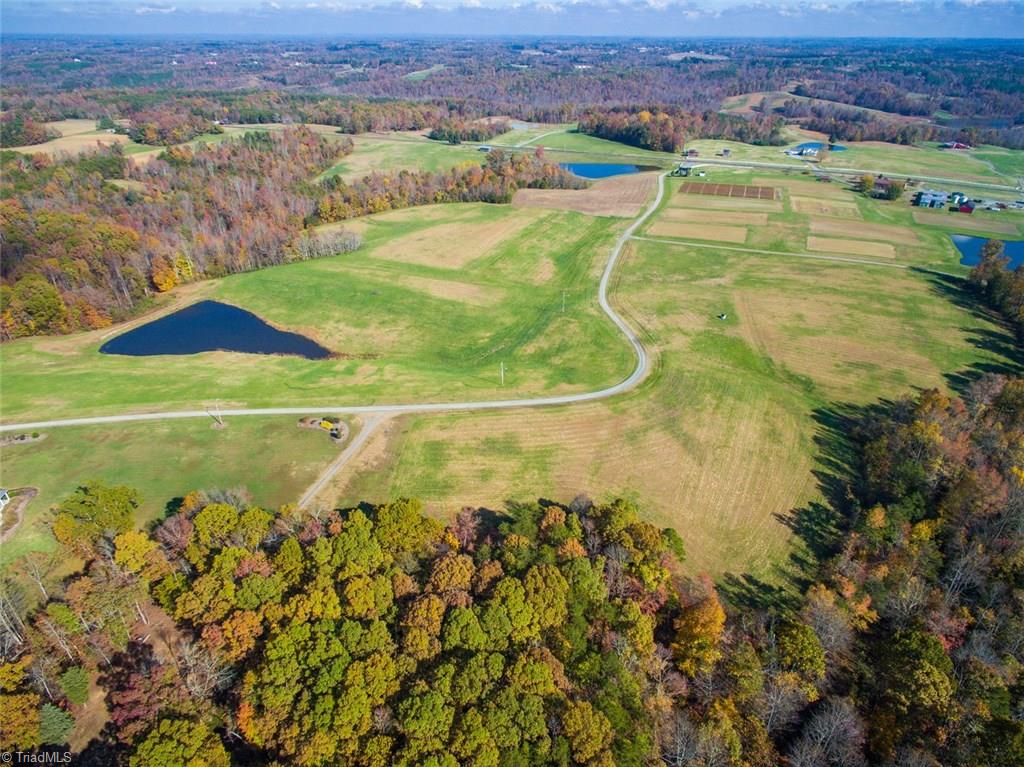 10.5-acres Anderson Ridge Road Mebane, NC 27302 - Photo 12 of 14 Gallery Image 12