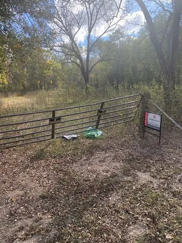 a view of a yard with wooden benches