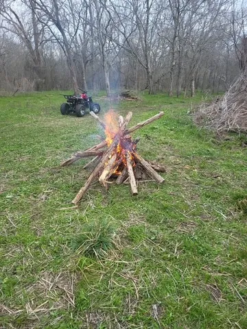 a view of a yard with a slide