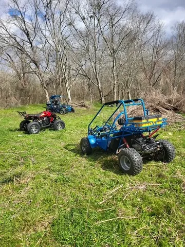a view of a backyard with plants and large trees