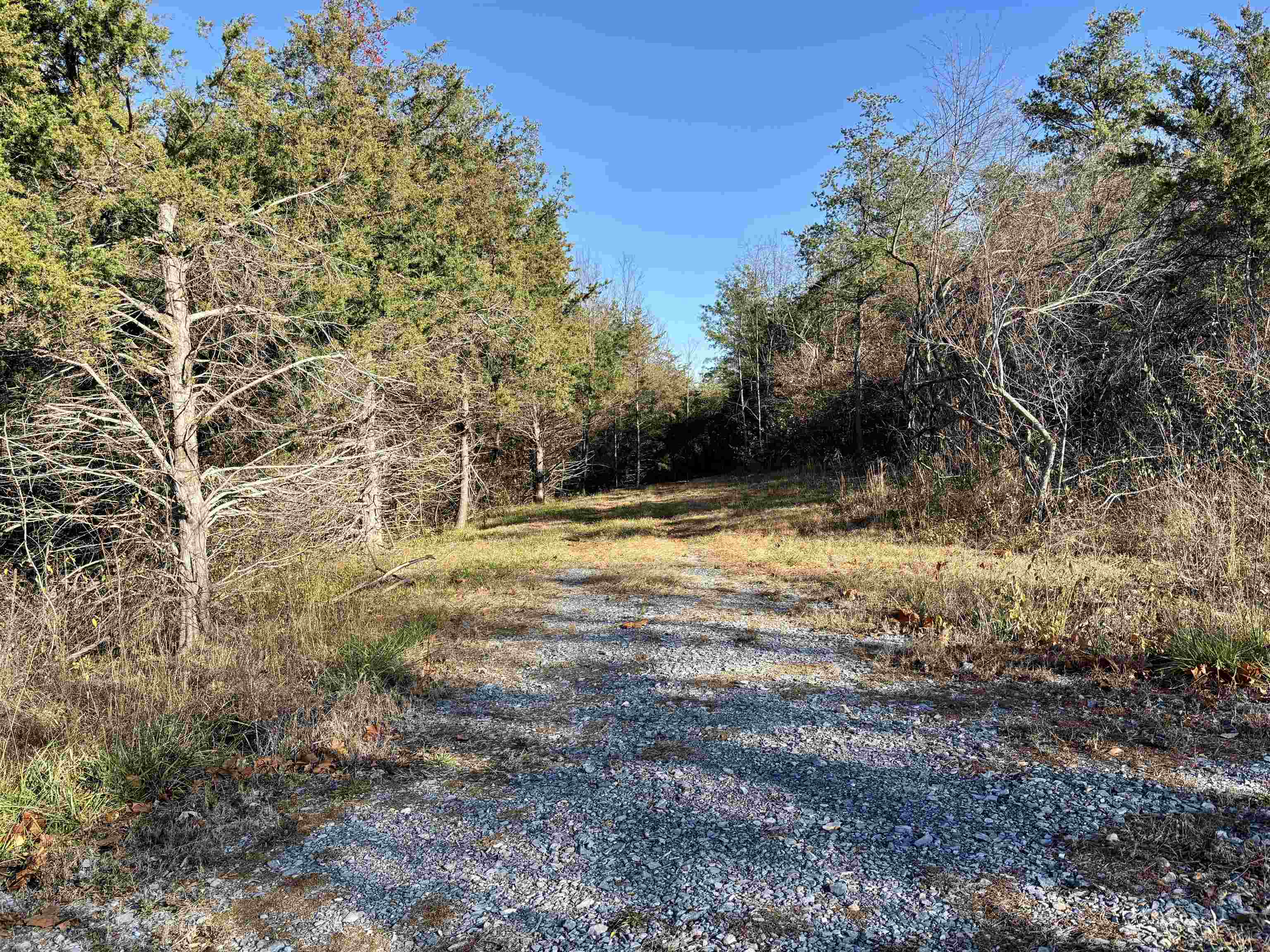 Harper Valley Road Luray, VA 22835 - Photo 6 of 14