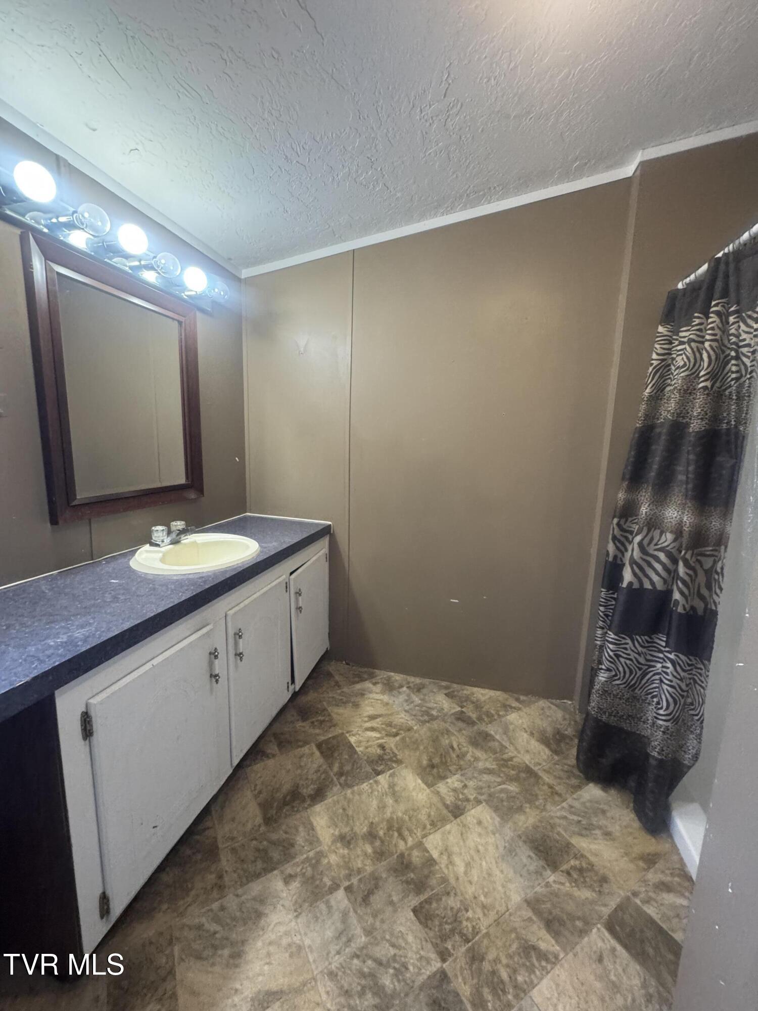 1013 Siam Road Elizabethton, TN 37643 - Photo 12 of 20 IMG_6959