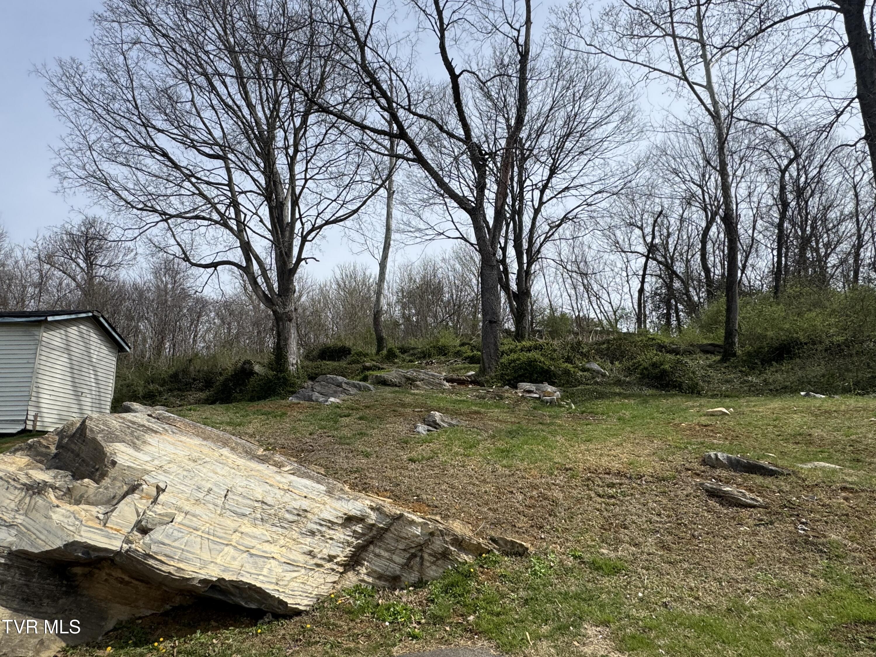 1013 Siam Road Elizabethton, TN 37643 - Photo 13 of 20 IMG_7087