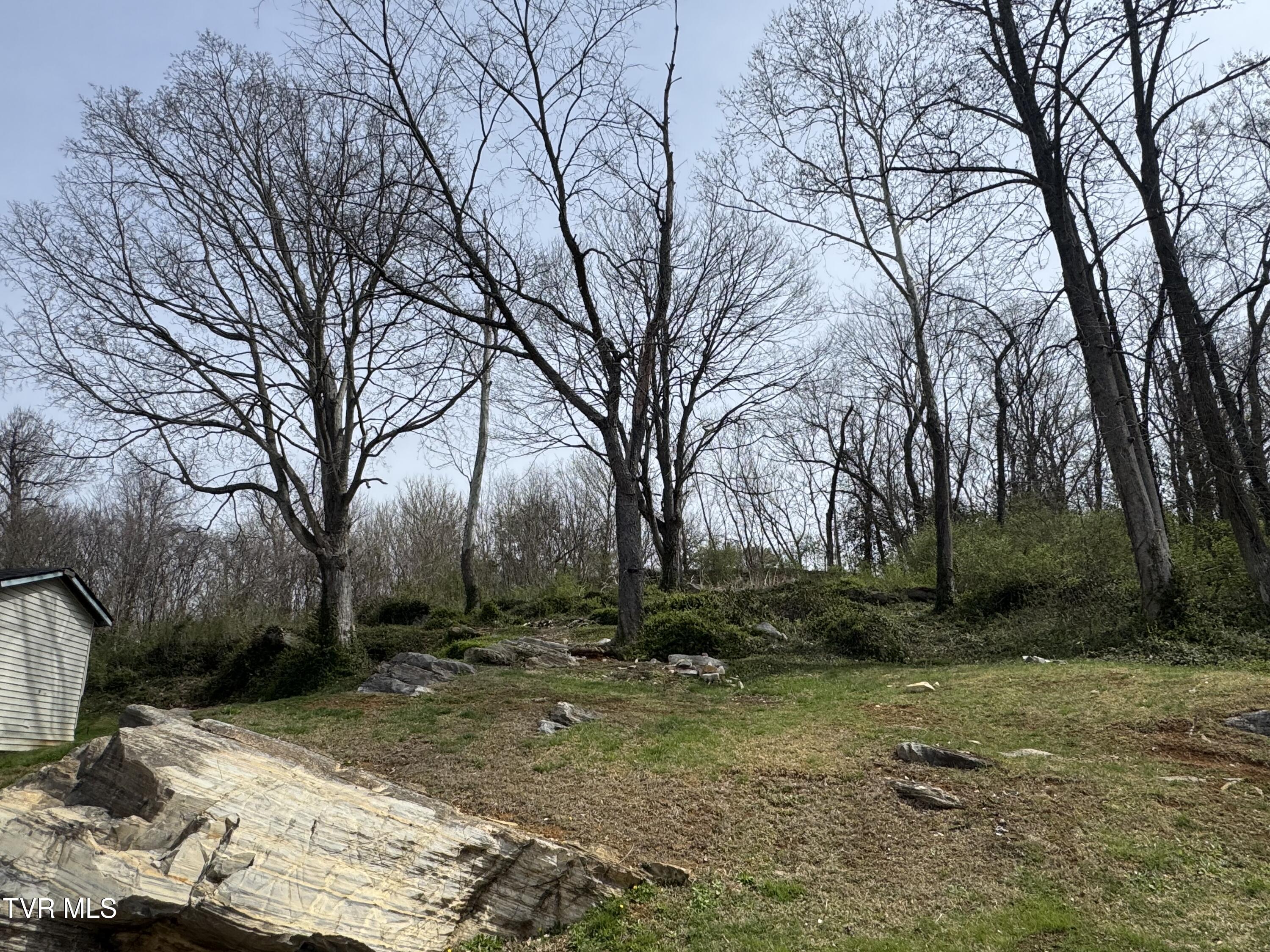 1013 Siam Road Elizabethton, TN 37643 - Photo 14 of 20 IMG_7086