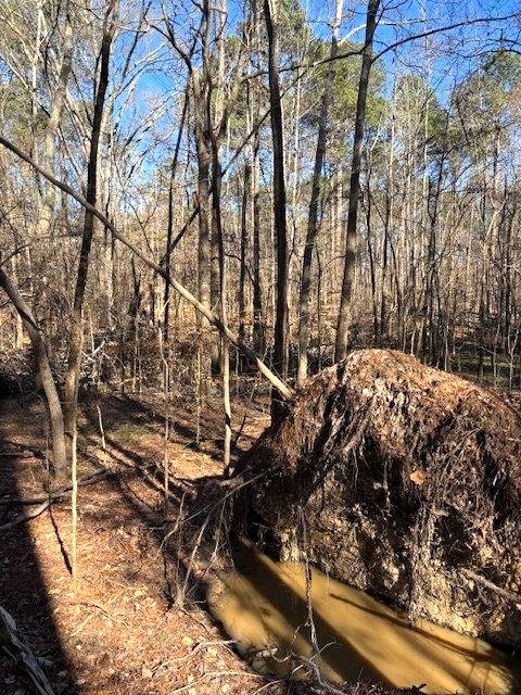 1114 Reedy Creek Road Bradley, SC 29819 - Photo 56 of 59