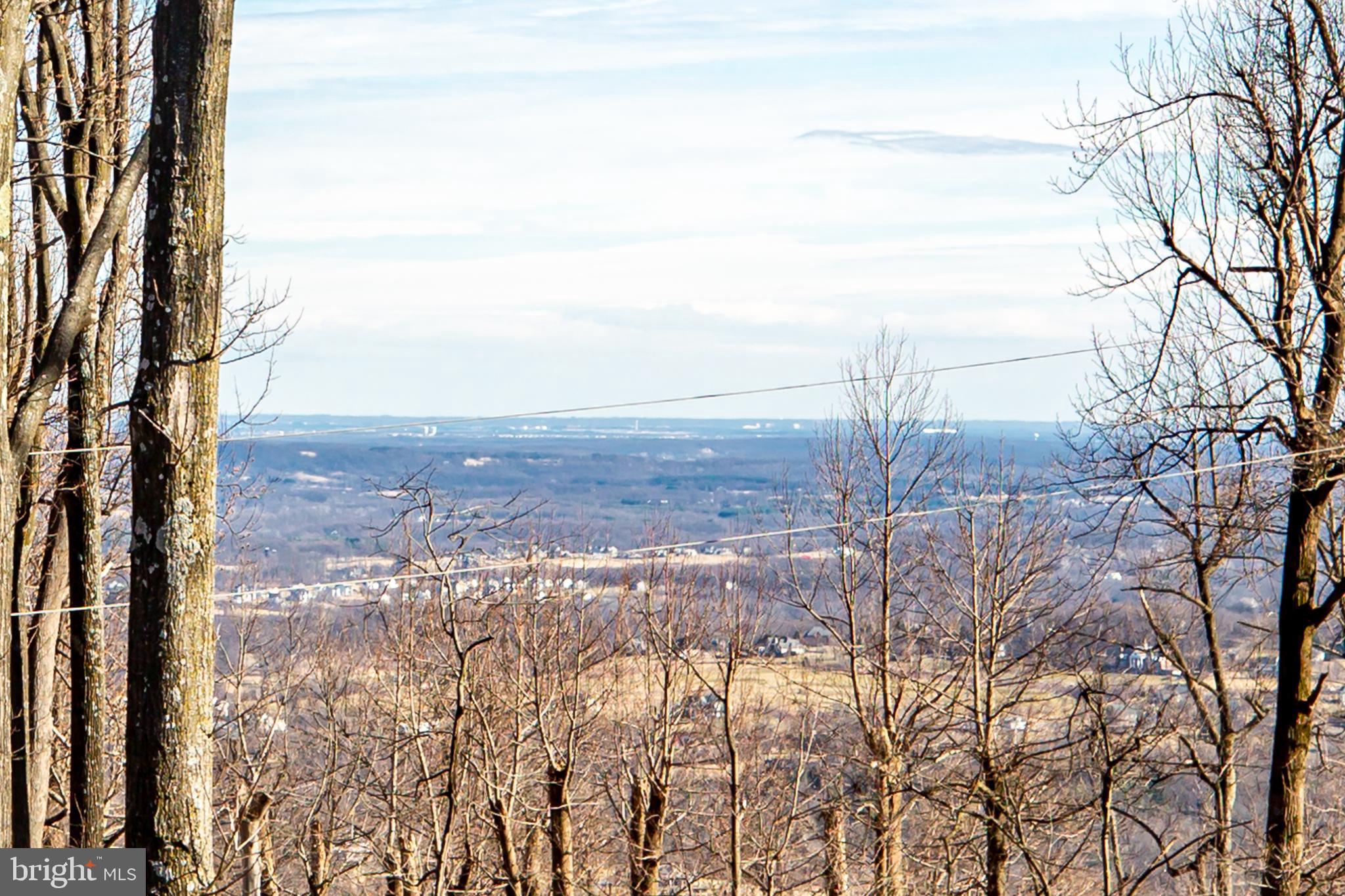 17345 Raven Rocks Road Bluemont, VA 20135 - Photo 54 of 99