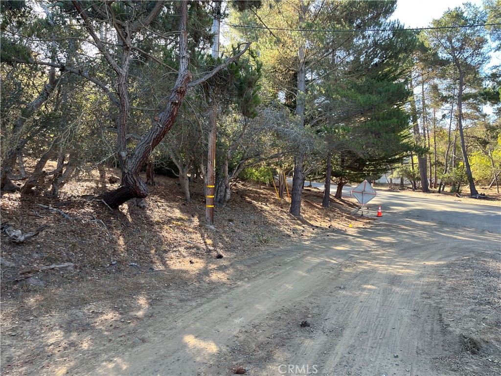 1818 Tweed Avenue Cambria, CA 93428 - Photo 2 of 3 a view of outdoor space with trees