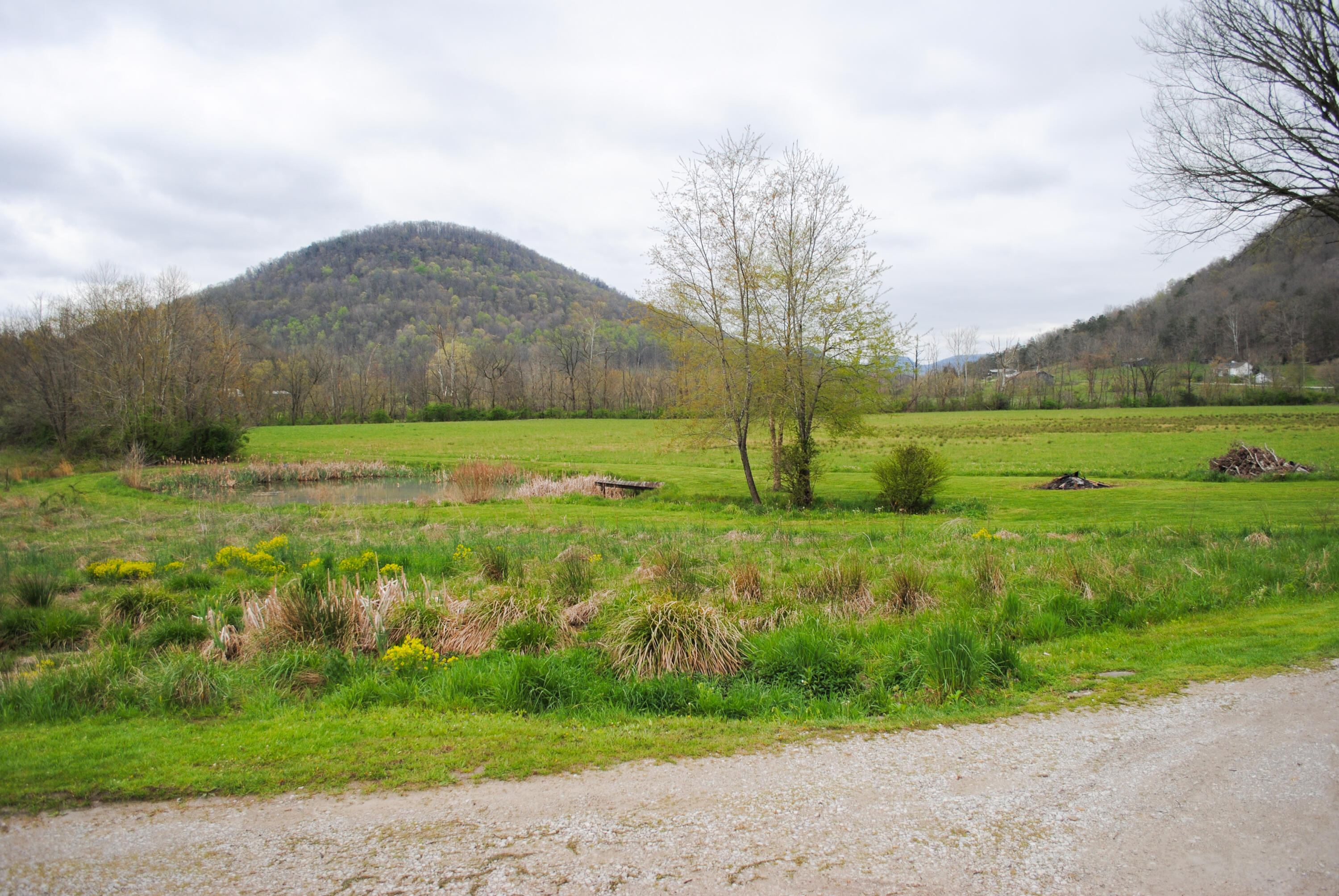 1152 Red Lick Road Berea, KY 40403 - Photo 33 of 71 DSC_0001