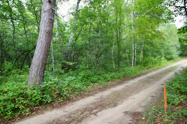 $75,000 | Tbd Gravdahl Drive, Pequot Lakes, MN 56472