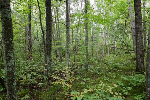 $75,000 | Tbd Gravdahl Drive, Pequot Lakes, MN 56472