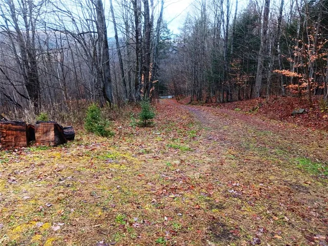 $99,990 | 575 Hollenbeck Road, Worcester, NY 12197