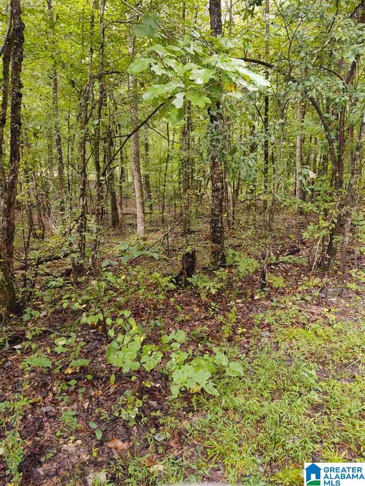 69 Riubay Lane, Unit 1 Adger, AL 35006 - Photo 1 of 2