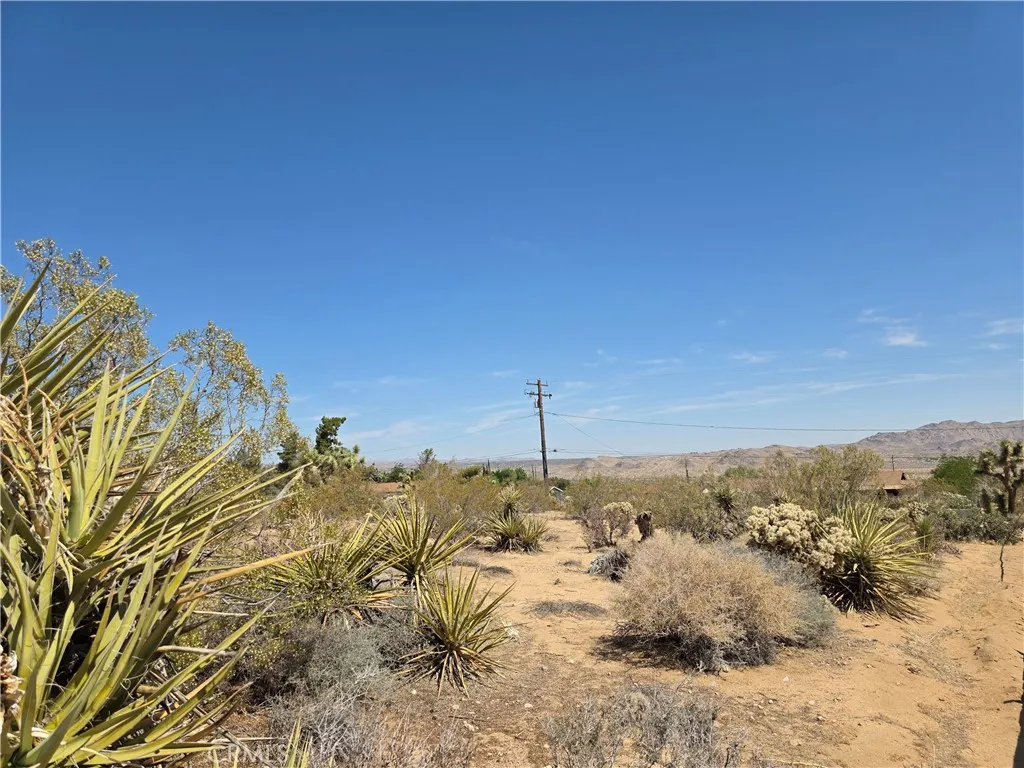 0 La Mirada Joshua Tree Ca Joshua Tree, CA 92252 - Photo 1 of 4 a view of a snow on a beach