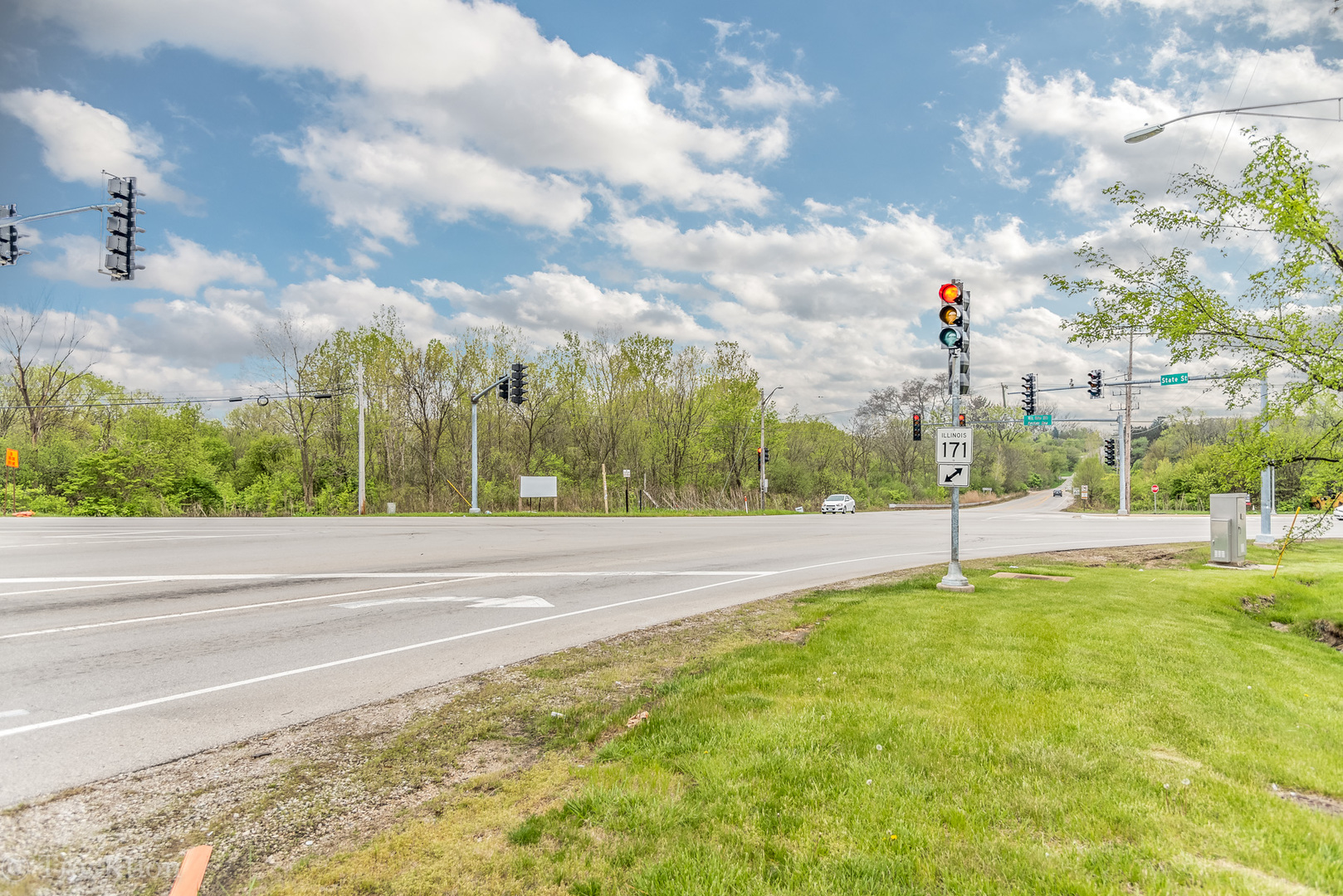 1365 State Street Lemont, IL 60439 - Photo 5 of 9