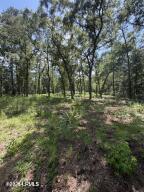 190 Paige Point Road Seabrook, SC 29940 - Photo 9 of 11 20260713150001670348000000