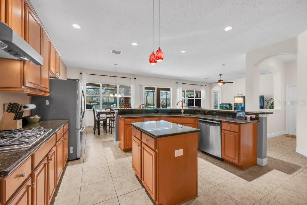 5920 Fishhawk Crossing Boulevard Lithia, FL 33547 - Photo 12 of 59