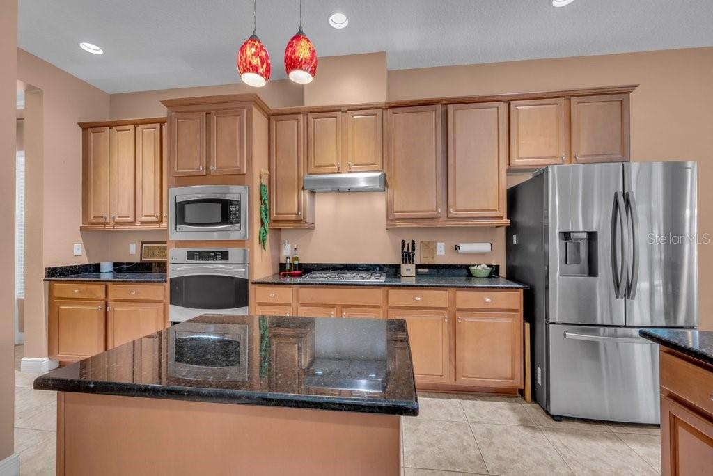 5920 Fishhawk Crossing Boulevard Lithia, FL 33547 - Photo 16 of 61 a kitchen with stainless steel appliances granite countertop a refrigerator sink stove microwave and cabinets