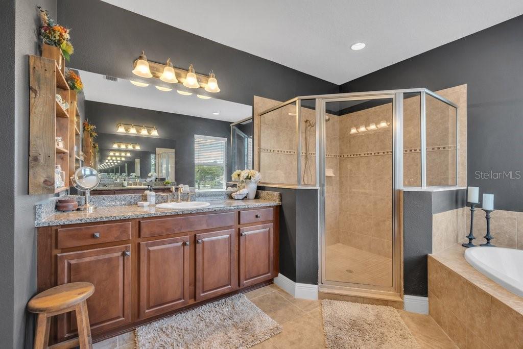 5920 Fishhawk Crossing Boulevard Lithia, FL 33547 - Photo 29 of 61 a bathroom with a sink a toilet and a large mirror