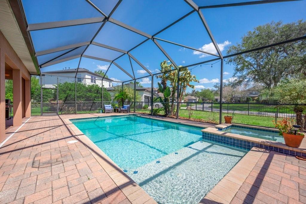 5920 Fishhawk Crossing Boulevard Lithia, FL 33547 - Photo 42 of 61 a view of a backyard with swimming pool