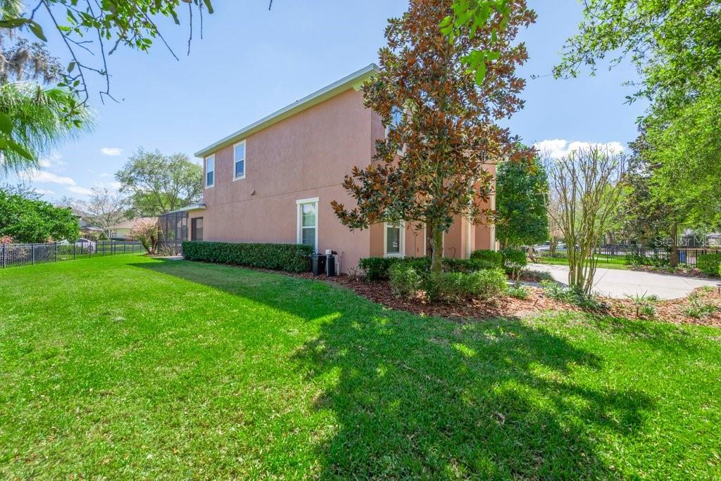 5920 Fishhawk Crossing Boulevard Lithia, FL 33547 - Photo 47 of 61 a view of a house with backyard and a tree