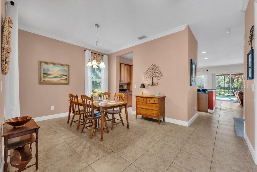 5920 Fishhawk Crossing Boulevard Lithia, FL 33547 - Photo 6 of 61