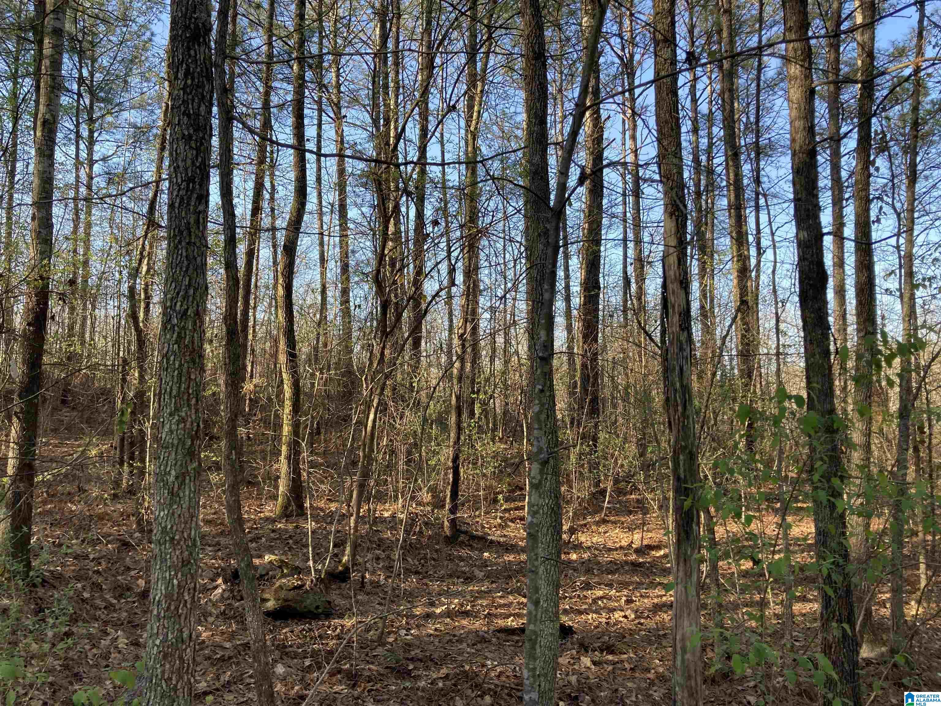 0 Jackson Trace Road, Unit 4 1 Talladega, AL 35160 - Photo 12 of 27