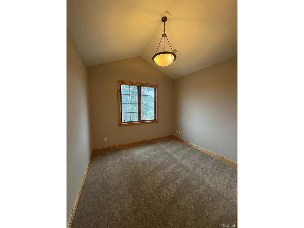 31276 Stone Canyon Road, Unit 206 Evergreen, CO 80439 - Photo 19 of 24