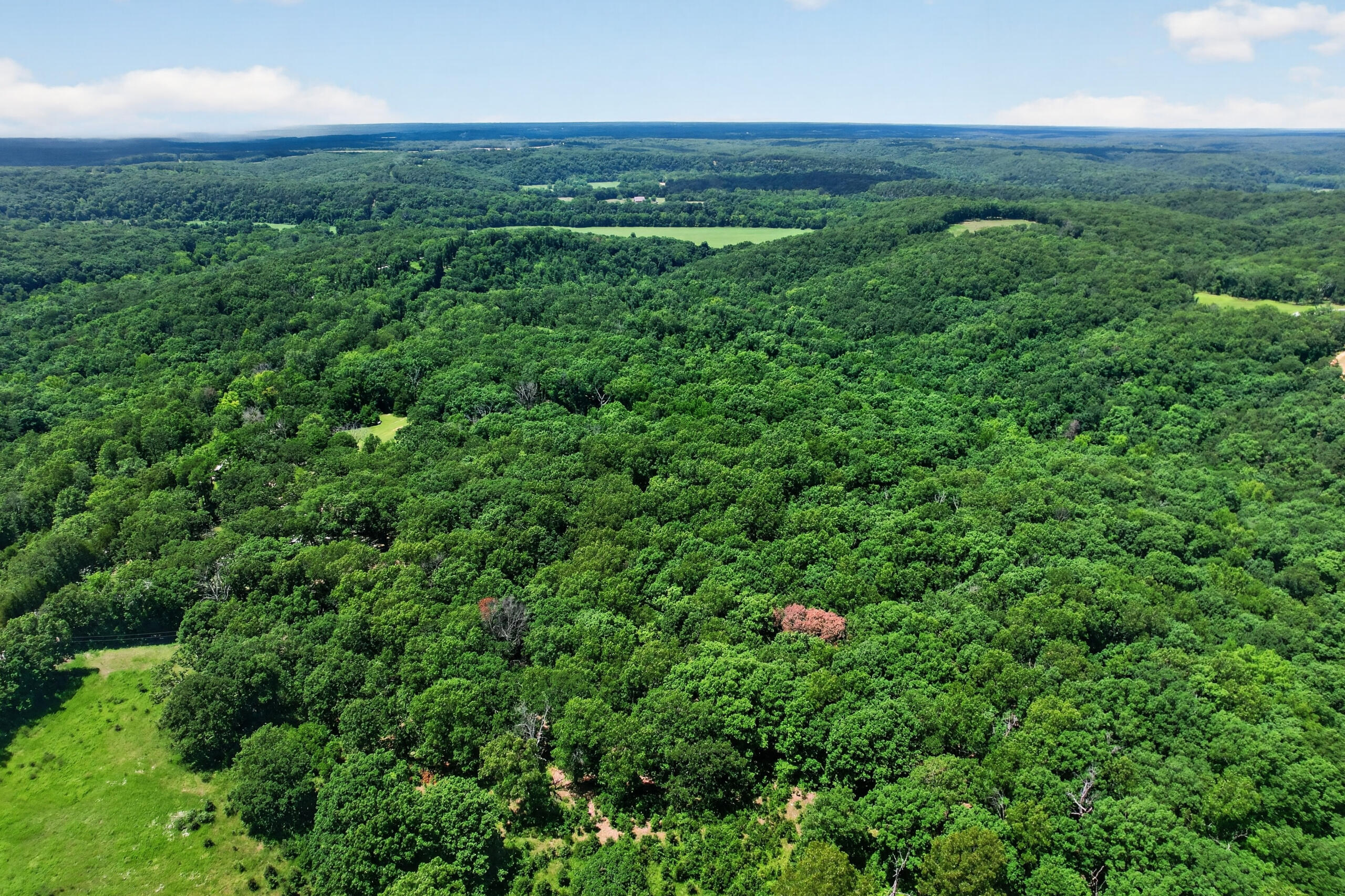 411 Moon Valley Road Lebanon, MO 65536 - Photo 128 of 144 DJI_0278