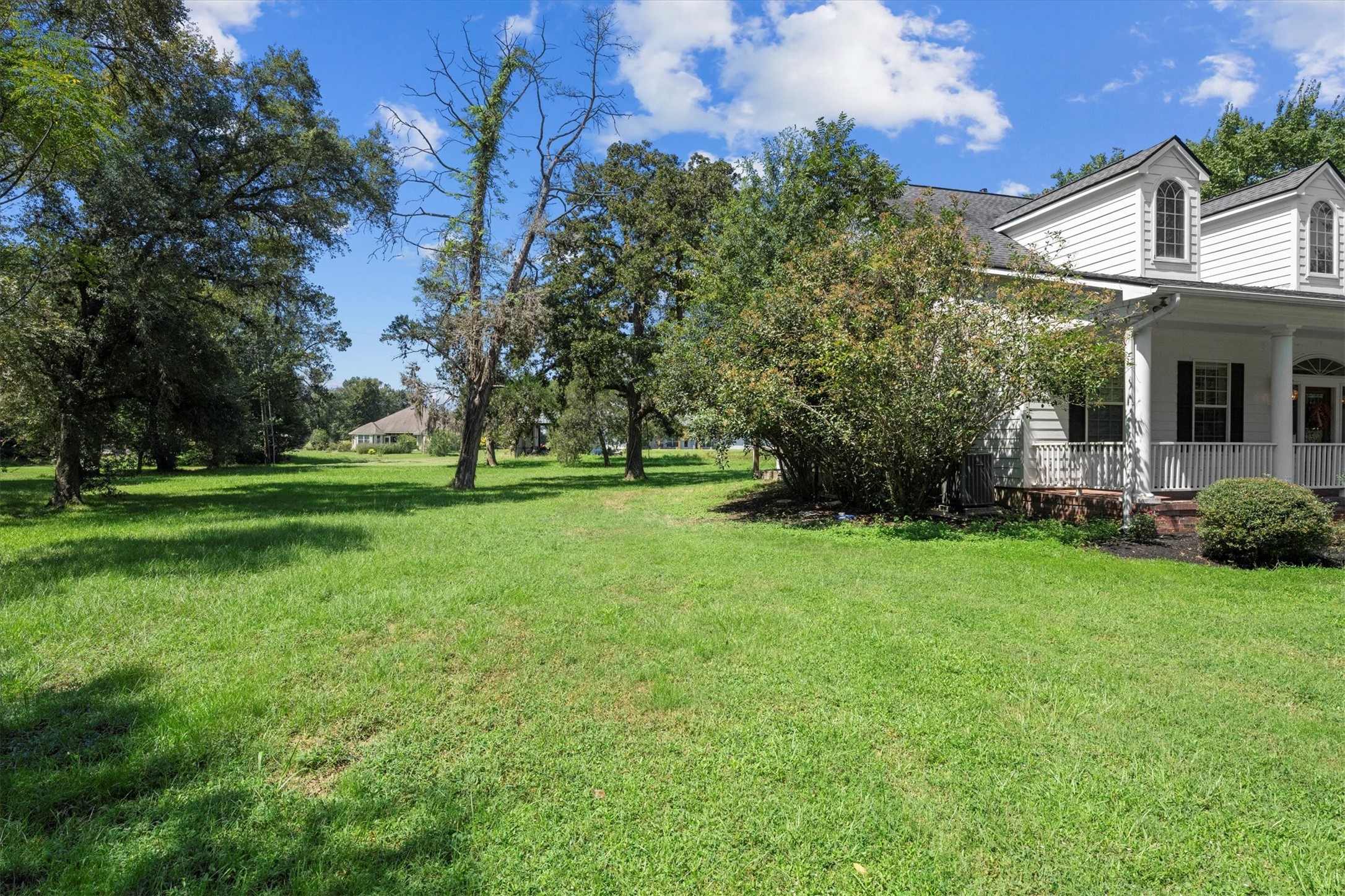 31627 Cedardale Street Magnolia, TX 77355 - Photo 46 of 47 Expansive open yard on over 1 acre, ready for entertaining, play, or gardening.