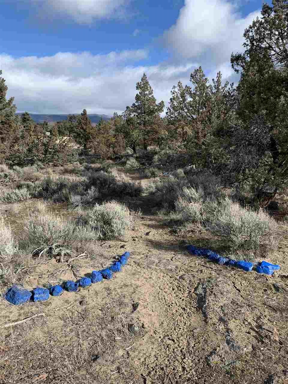 Lot 10-11 Nugget Road Montague, CA 96064 - Photo 2 of 21 Gallery Image 2