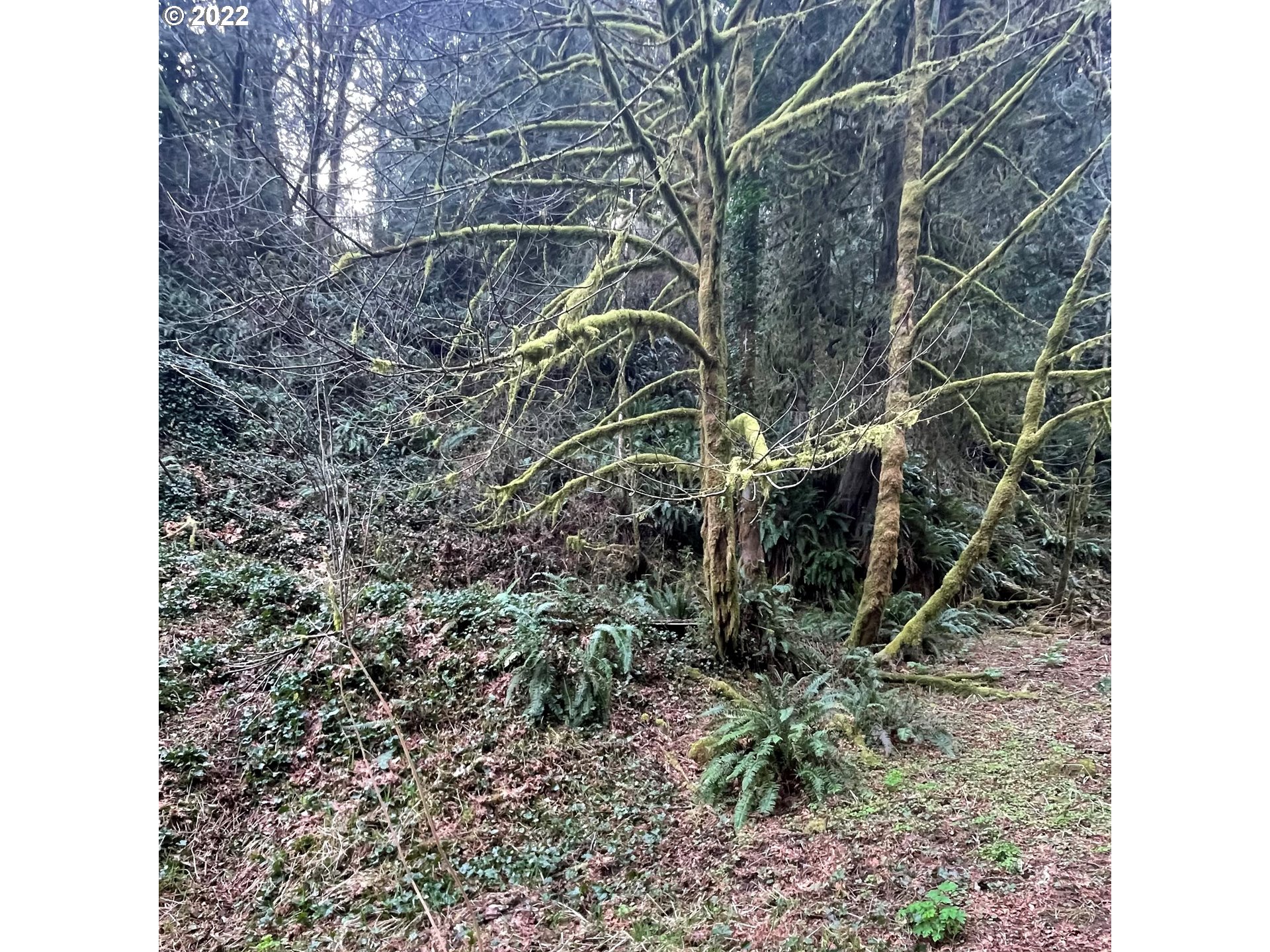 7612 Lower Smith River Road Reedsport, OR 97467 - Photo 5 of 12 Gallery Image 5