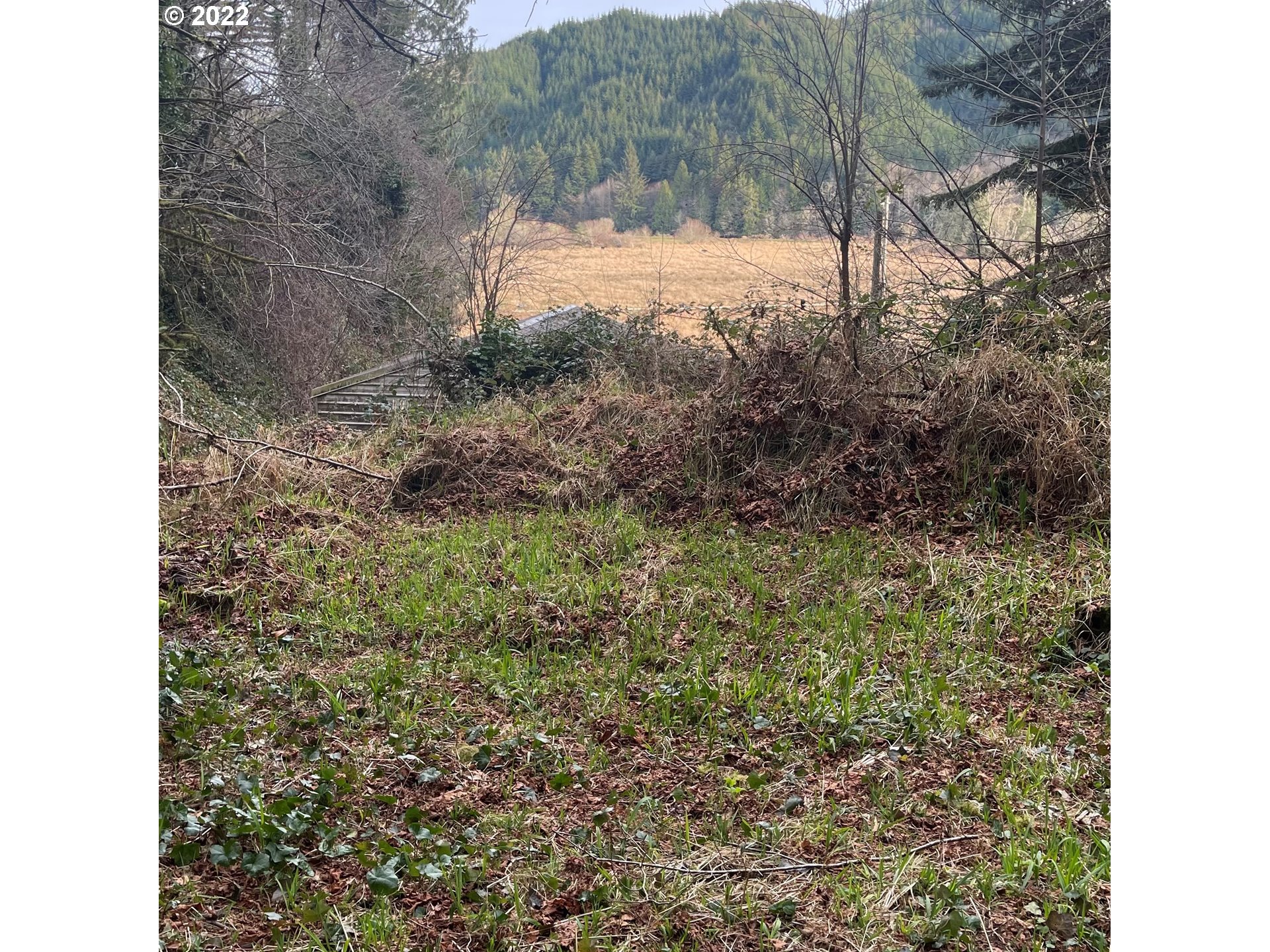7612 Lower Smith River Road Reedsport, OR 97467 - Photo 7 of 12 Gallery Image 7