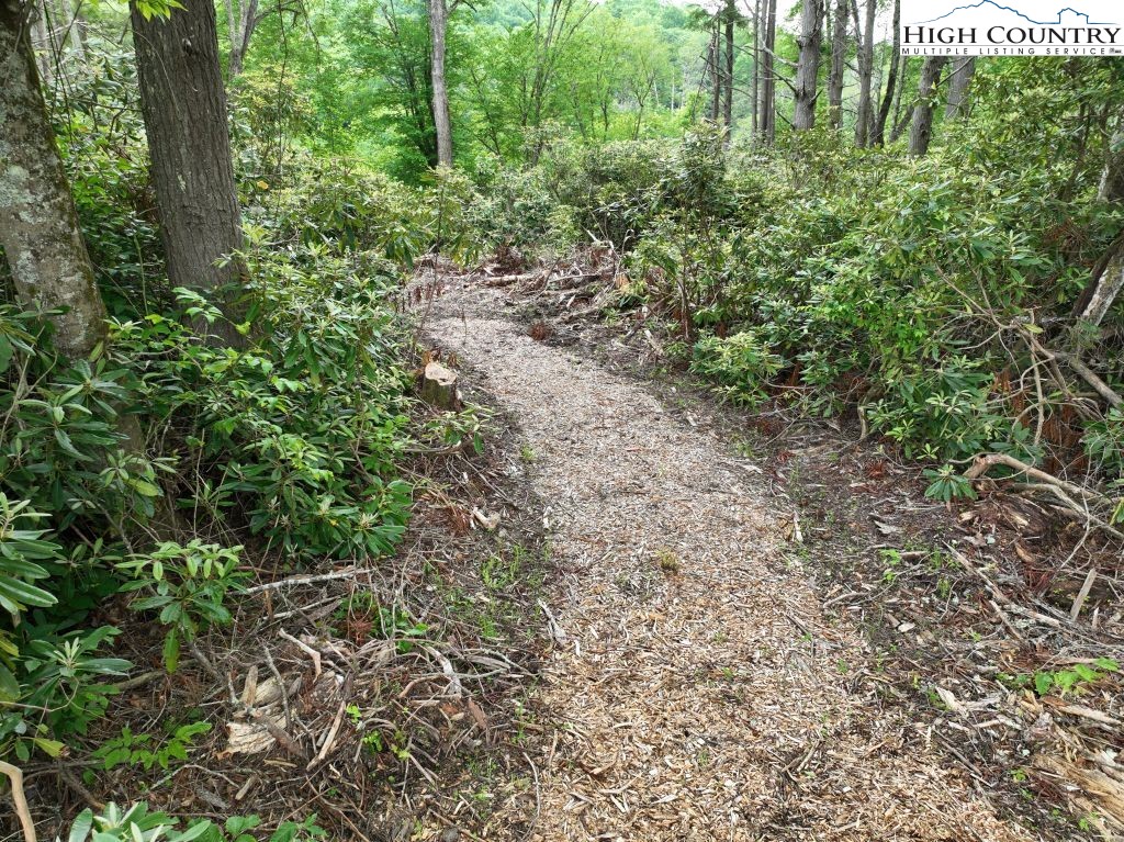 1764 Ripshin Mountain Road Roan Mountain, TN 37687 - Photo 11 of 33 a view of a garden with plants