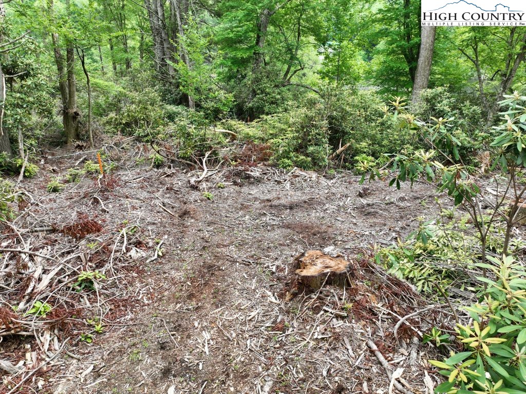 1764 Ripshin Mountain Road Roan Mountain, TN 37687 - Photo 14 of 33 a view of a large yard with lots of green space
