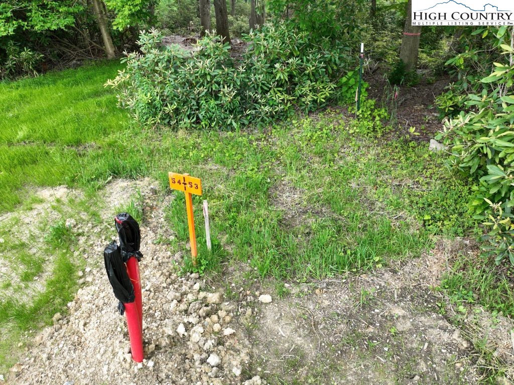 1764 Ripshin Mountain Road Roan Mountain, TN 37687 - Photo 3 of 33 a view of a park