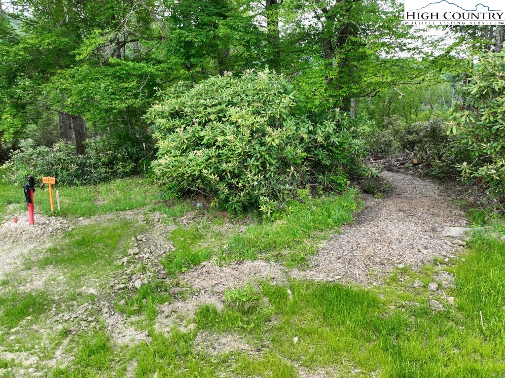 1764 Ripshin Mountain Road Roan Mountain, TN 37687 - Photo 9 of 33 a view of a garden with a tree