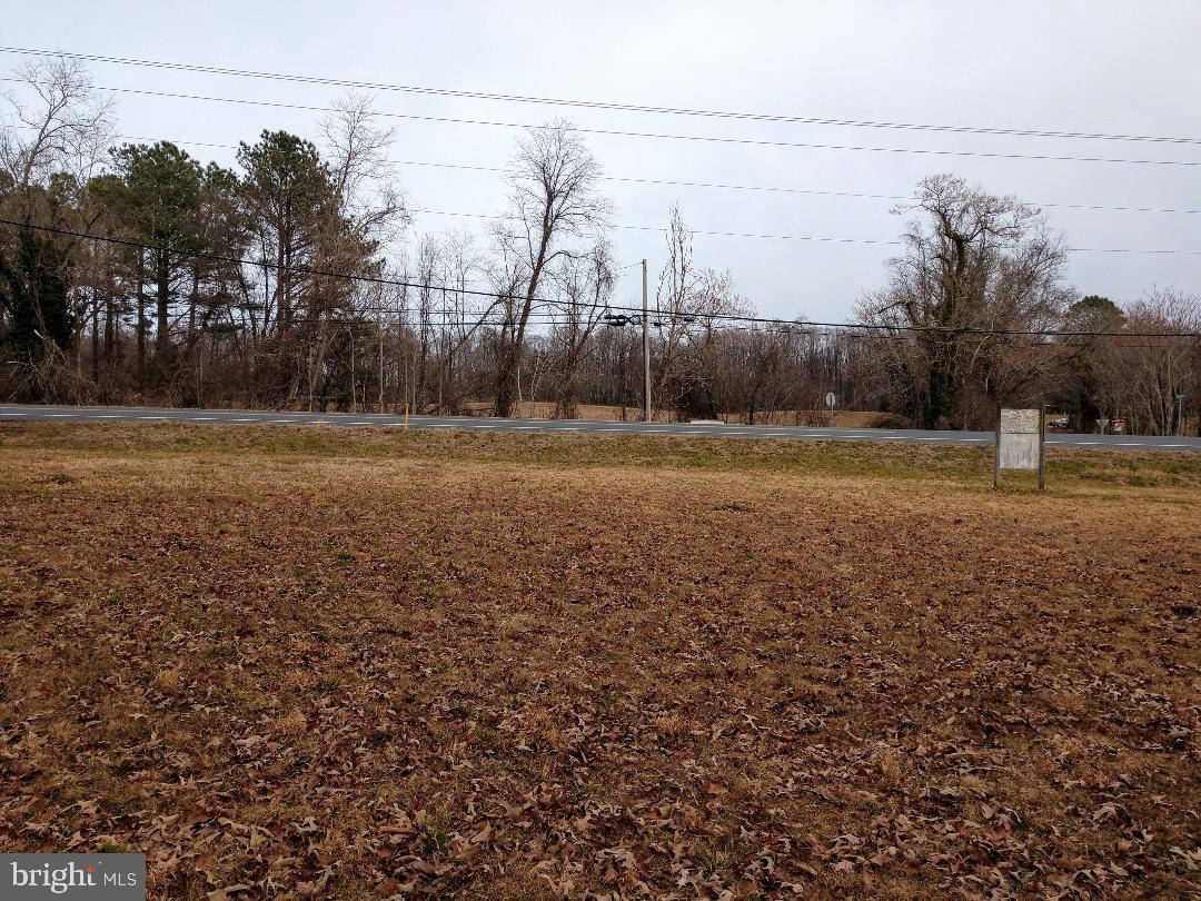 10015 H G Trueman Road Lusby, MD 20657 - Photo 4 of 7 a view of a yard with a fountain