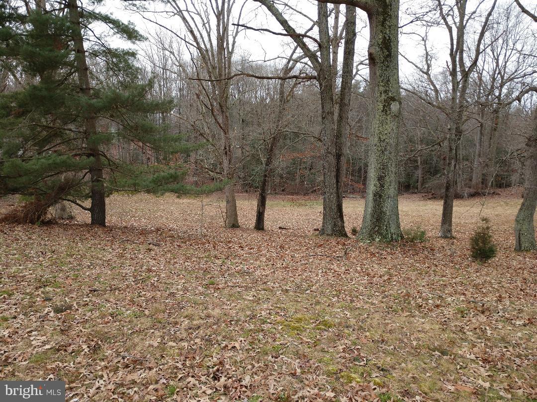 10015 H G Trueman Road Lusby, MD 20657 - Photo 5 of 7 a view of a yard with a tree