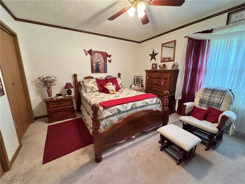 4514 Russet Road Grantsville, WV 26147 - Photo 29 of 44