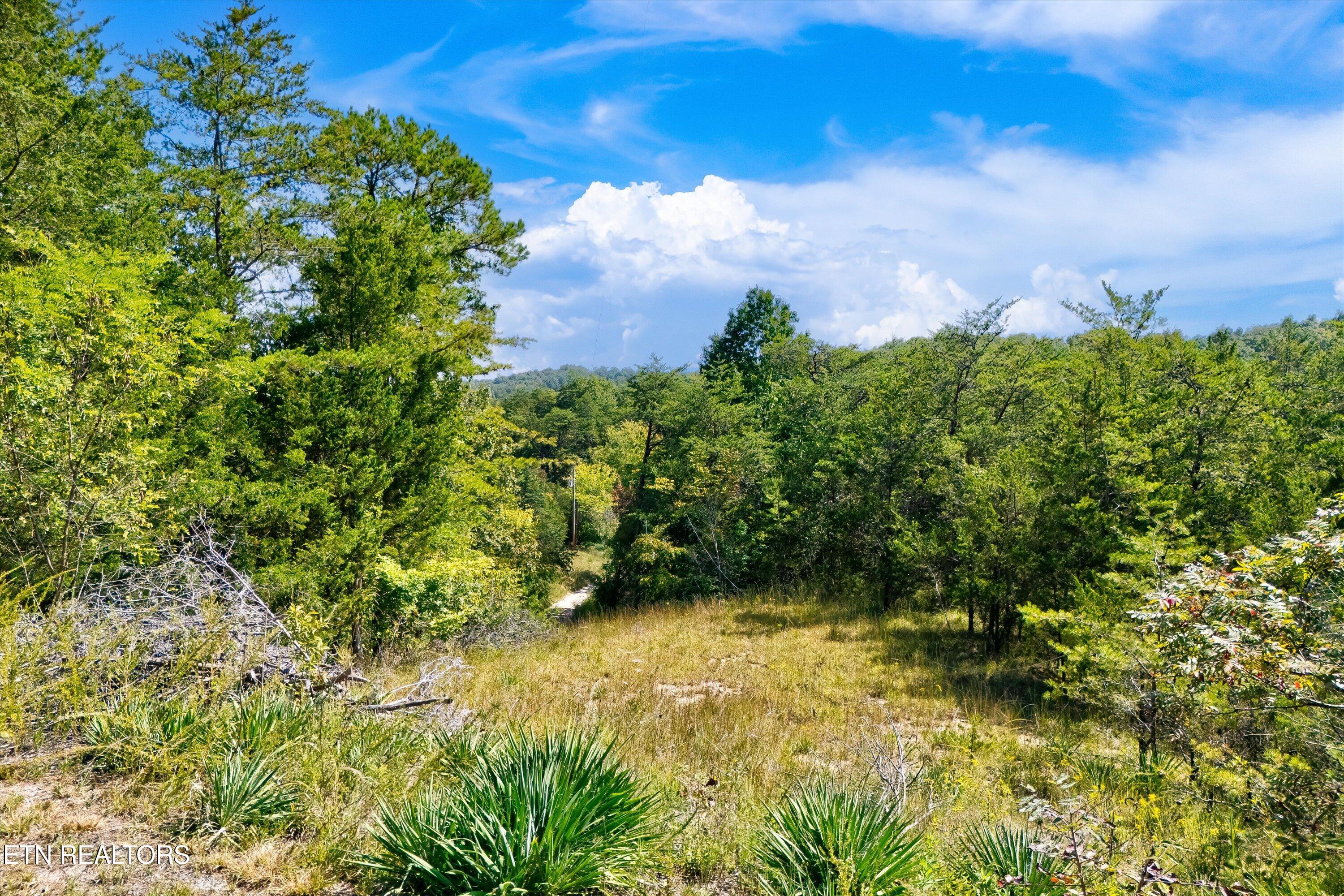 0 Flat Creek Road Sevierville, TN 37876 - Photo 21 of 21 39-Flat Creek Rd-39