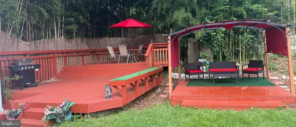 a view of a backyard