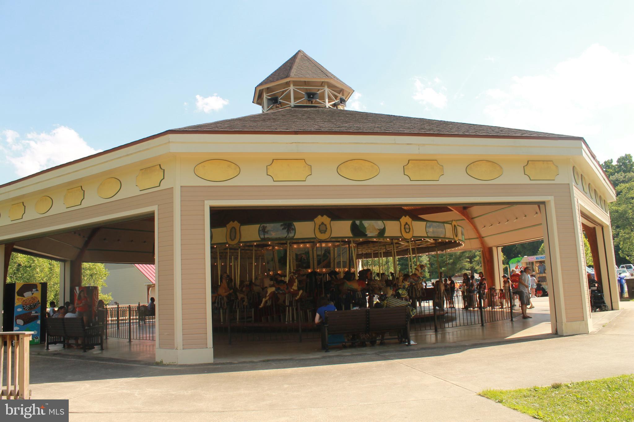 11321 College View Drive Silver Spring, MD 20902 - Photo 75 of 83 Wheaton Regional Park Carousel